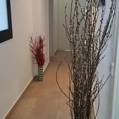 Purple Dream شقة *