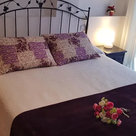 Purple Dream Apartment